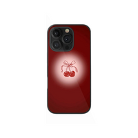 Glass Case
